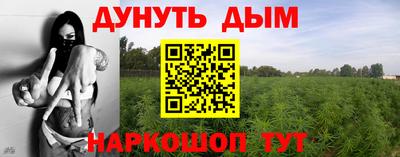 мет Дубна