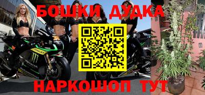 ГАЛЛЮЦИНОГЕННЫЕ ГРИБЫ Донской