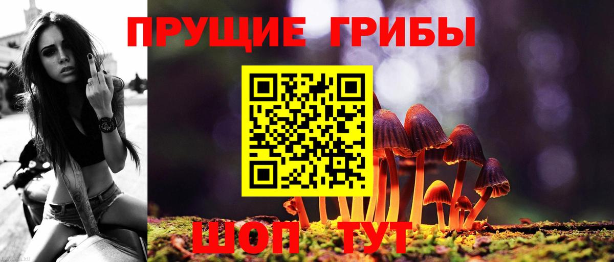 Псилоцибиновые грибы Cubensis Михайловка